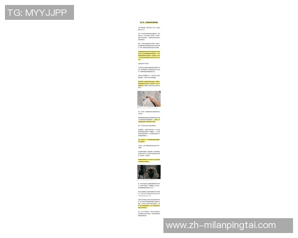 2026年3月份新闻从零基础到高手全面解析攀岩技巧与训练方法的终极指南